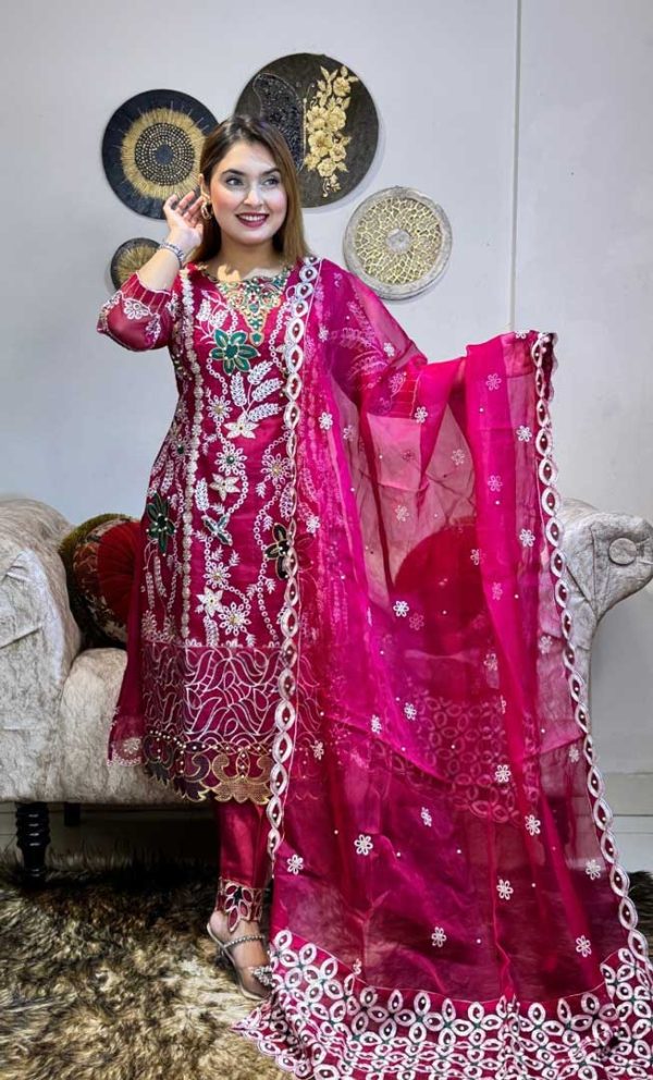 Eid Collection Organza Pary Dress - Image 6